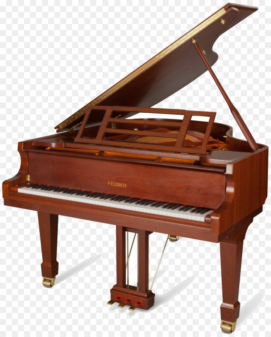 Piano，Feurich PNG