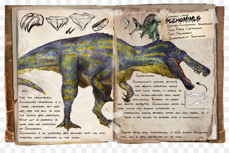Arca De Supervivencia Evolucionado，Tyrannosaurus PNG