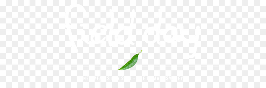 Hoja，Primer Plano PNG