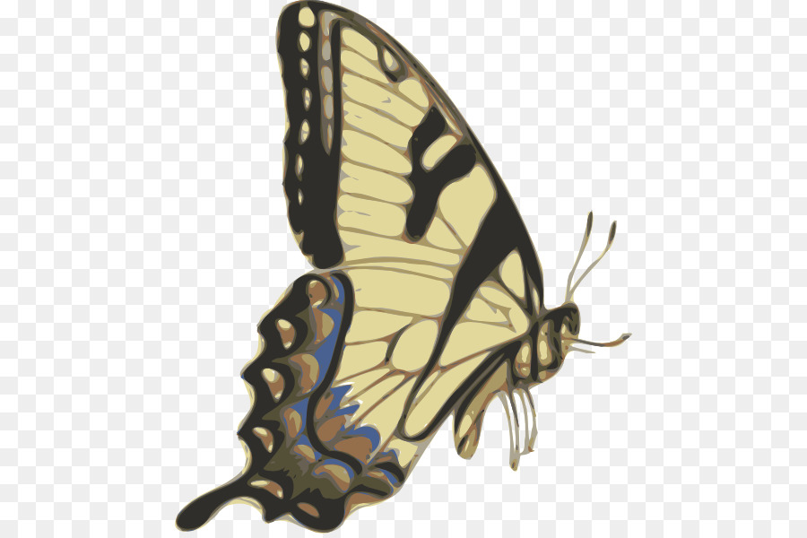 Mariposa Monarca，Polilla PNG