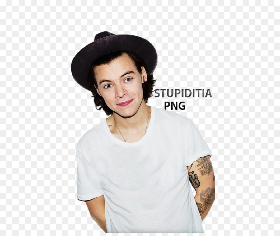 Estilos De Harry，Una Dirección PNG