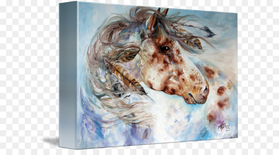 Pintura，Appaloosa PNG