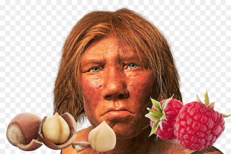 Neandertal，El Homo Sapiens PNG