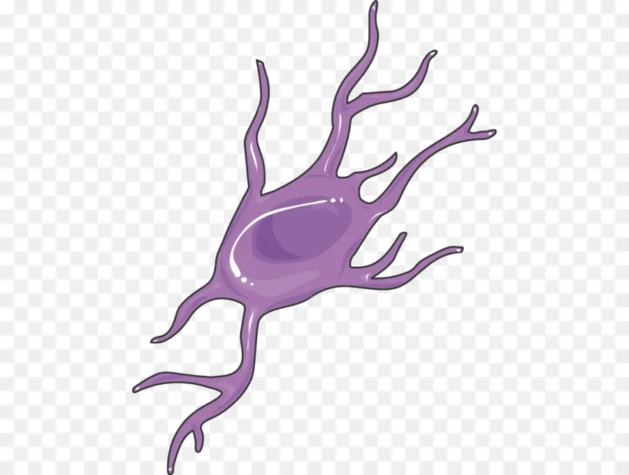 Neurona，Celúla PNG