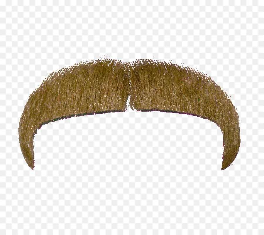 Bigote，Barba PNG