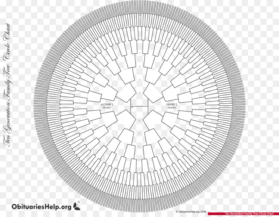 árbol De La Familia，La Familia PNG