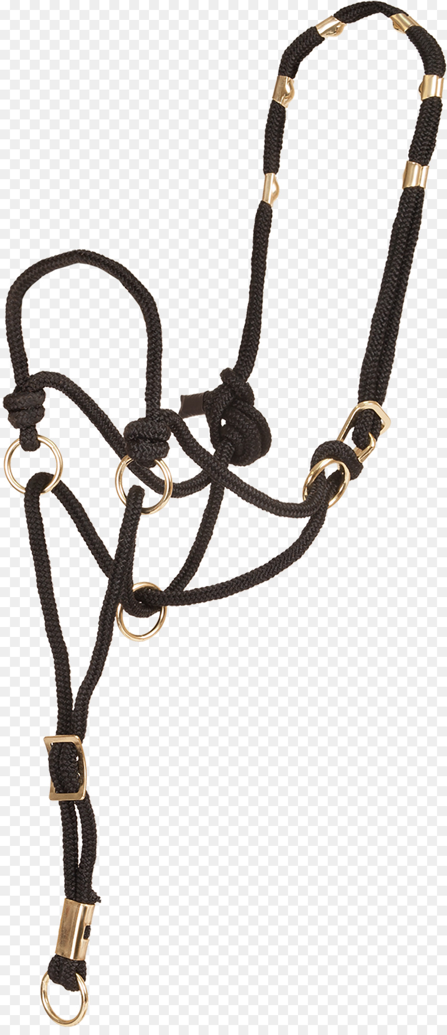 Halter，Caballo PNG