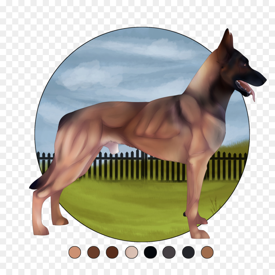 Raza De Perro，Paria Perro PNG