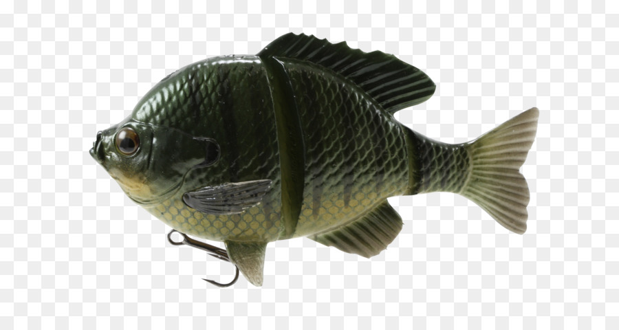 La Mojarra De Agallas Azules，Los Cebos De Pesca Señuelos PNG