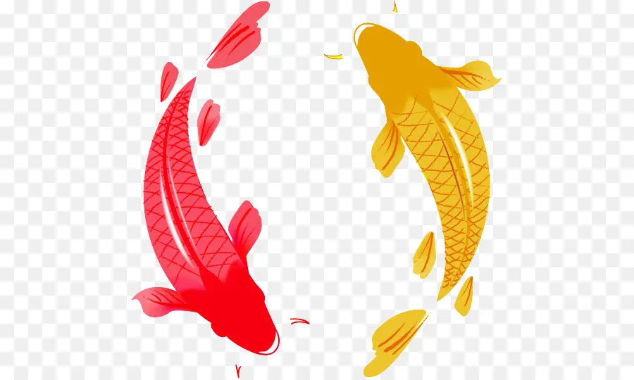 Koi，La Carpa PNG