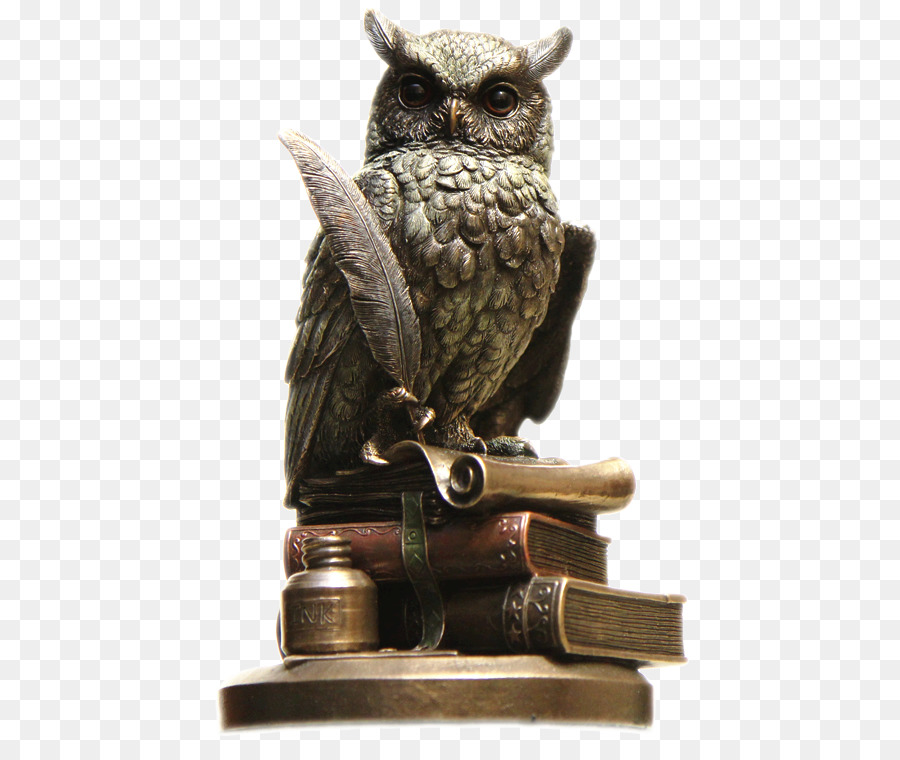 Owl，Juegos De Intelectuale PNG
