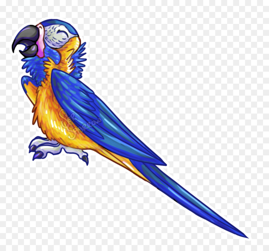 Guacamayo，Pluma PNG