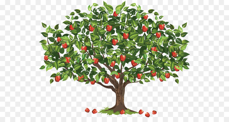 Dia Del Arbol，árbol PNG