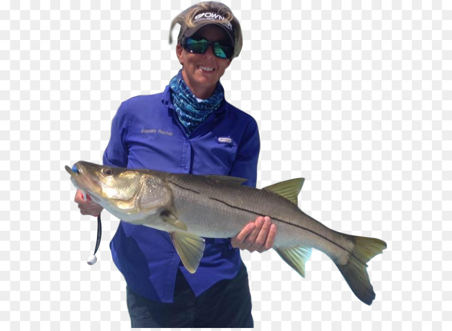 El Capitán Rachel，La Pesca PNG