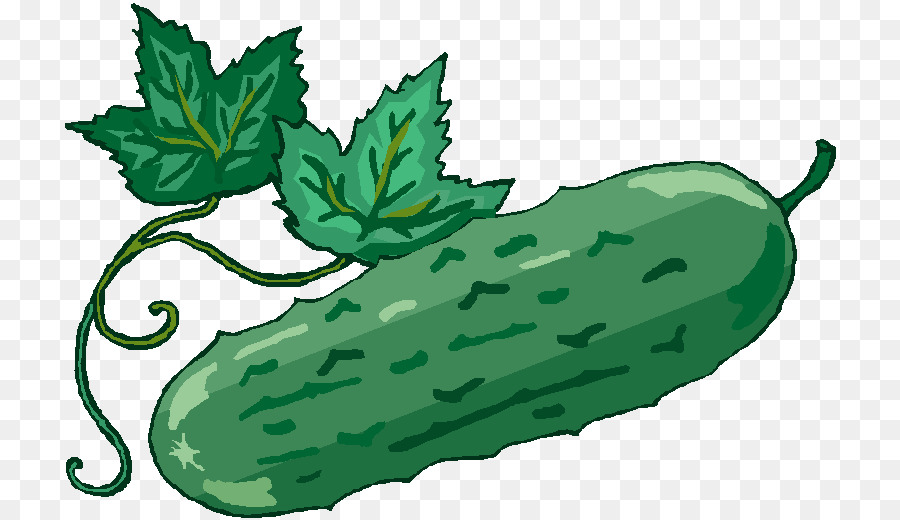 Pepino，Pepinillos En Vinagre PNG