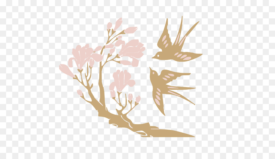 Magnolia，Dibujo PNG