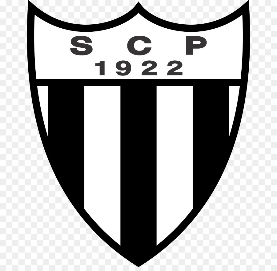 Copa Argentina，Superliga Argentina De Fútbol PNG