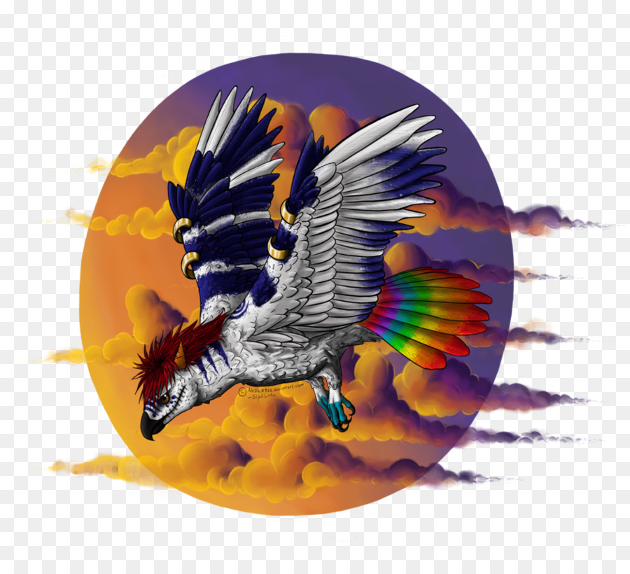 Pico，Pluma PNG