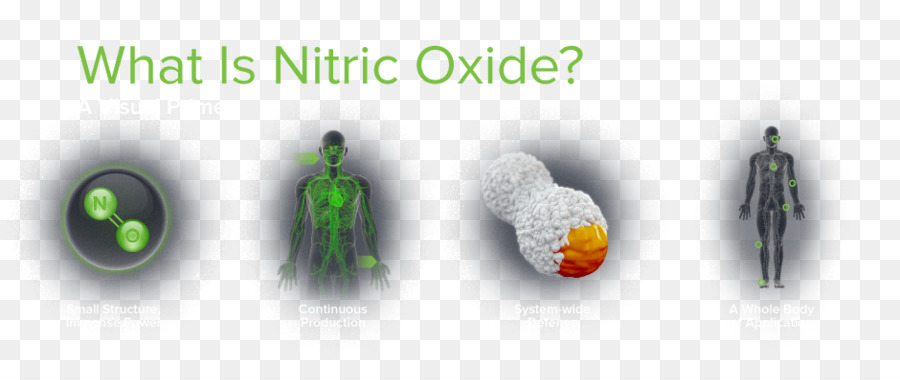 El óxido Nítrico，óxido De PNG