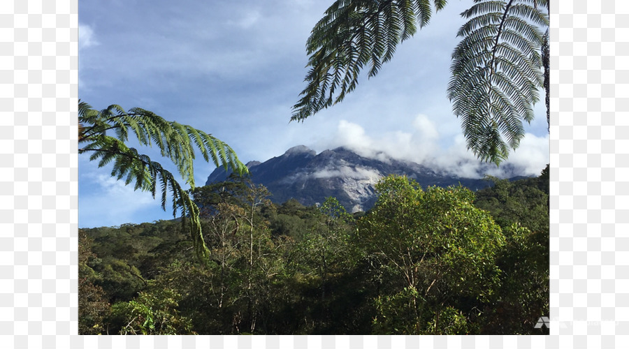 La Selva，Bioma PNG