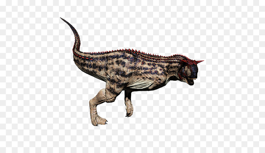 Carnotaurus，Tyrannosaurus PNG