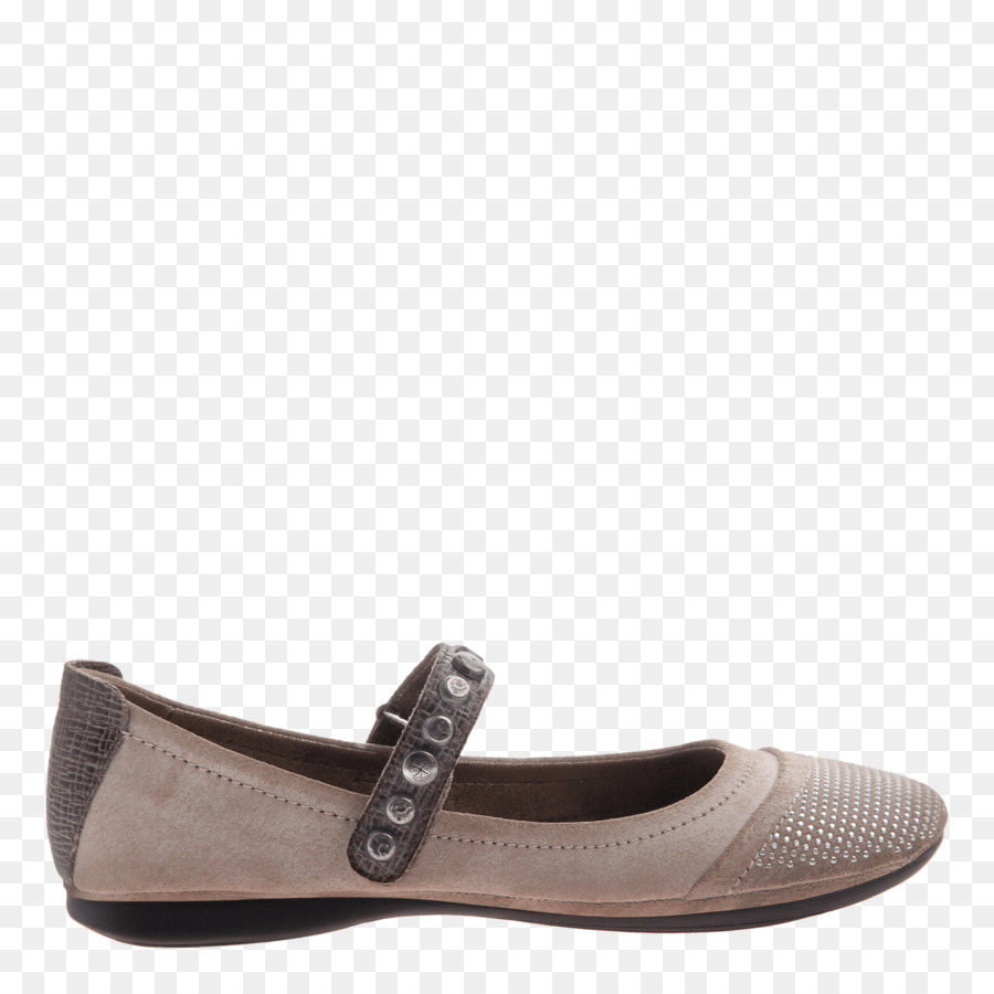 Slip On Shoe，Ante PNG