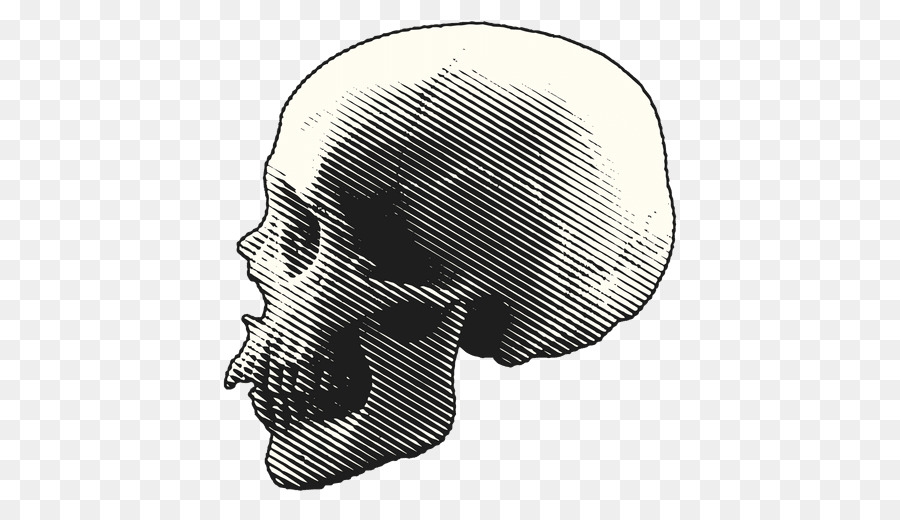 Dibujo De Calavera，Hueso PNG