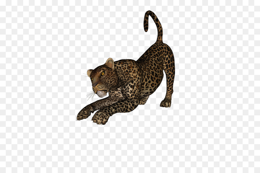 Leopardo，Guepardo PNG