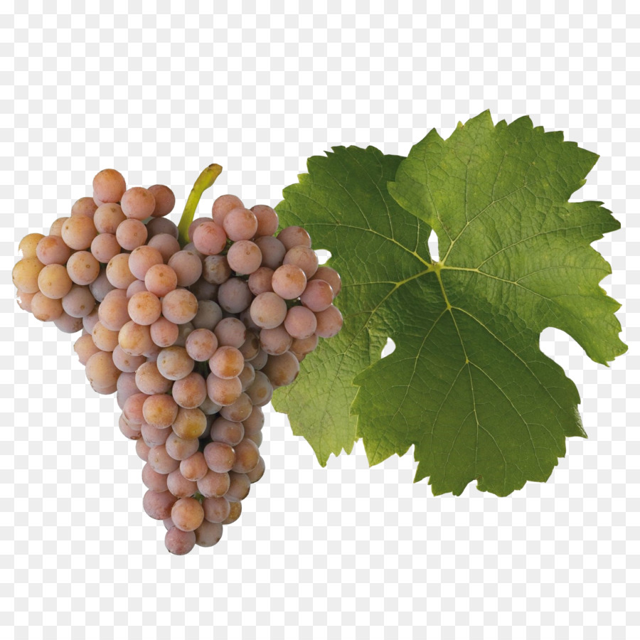 Uvas Verdes，Hoja PNG