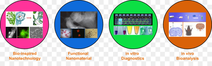 Nanozymes Próxima Ola De Enzimas Artificiales，Tabla De Surf PNG