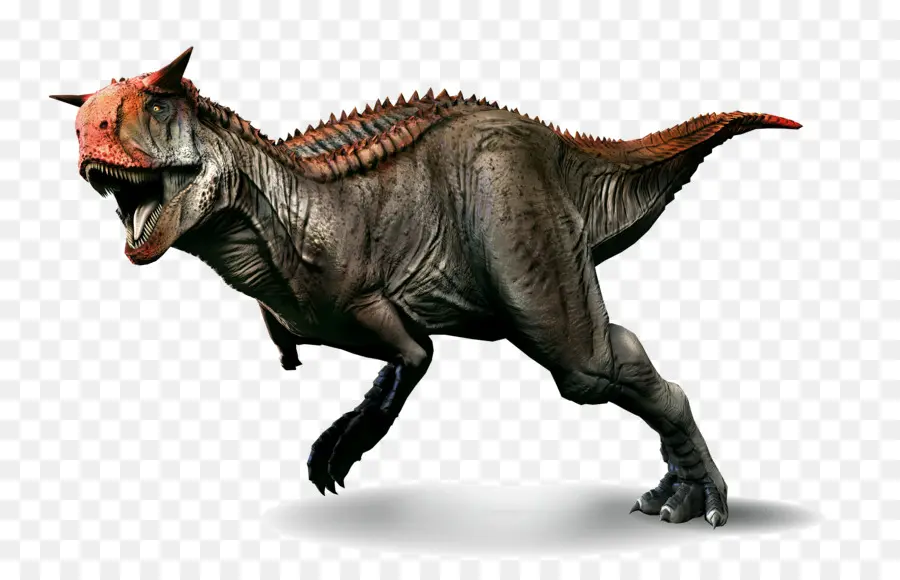 Carnotaurus，Tyrannosaurus PNG