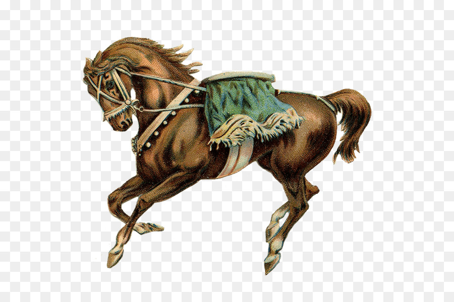 Caballo，Semental PNG