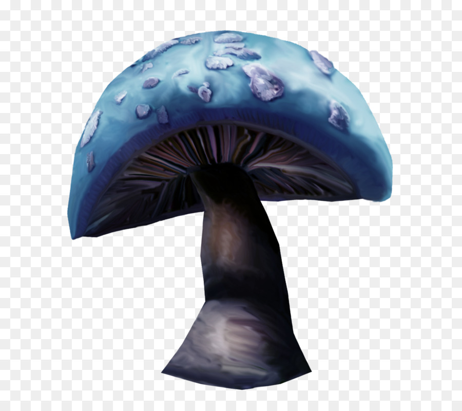 Shiitake，Azul PNG