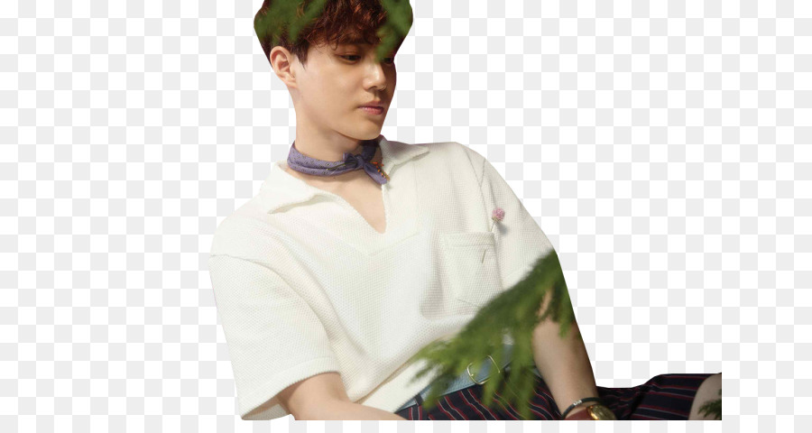 Ko Ko Pb，Exo PNG