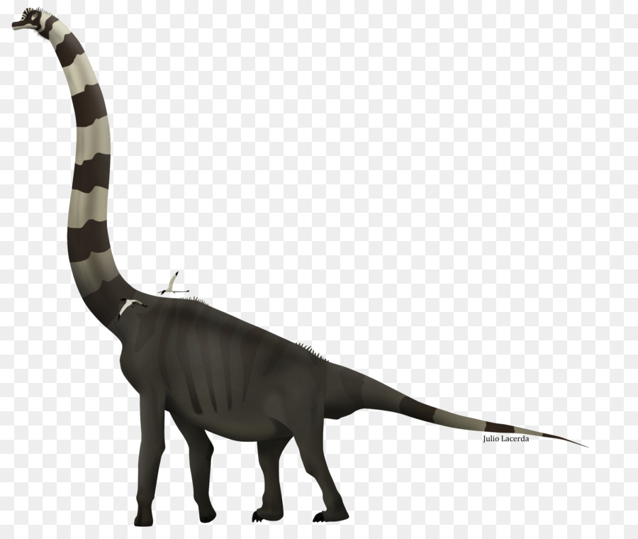 Giraffatitan，Velociraptor PNG