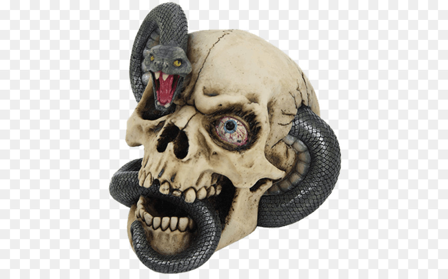 Cráneo，La Serpiente PNG