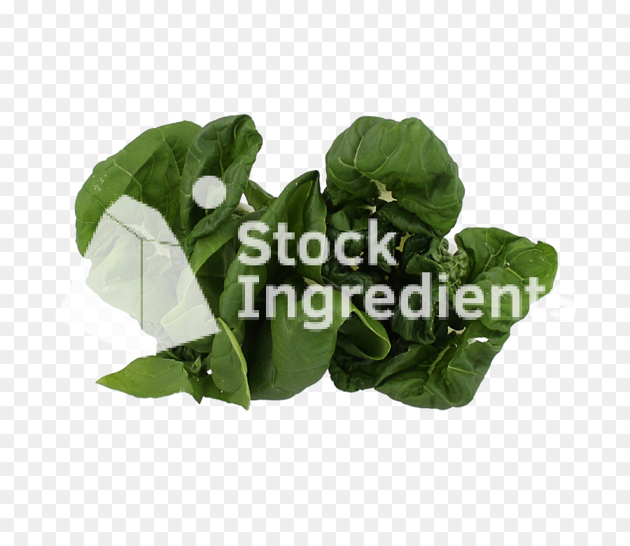 De Verduras De Primavera，Hoja PNG