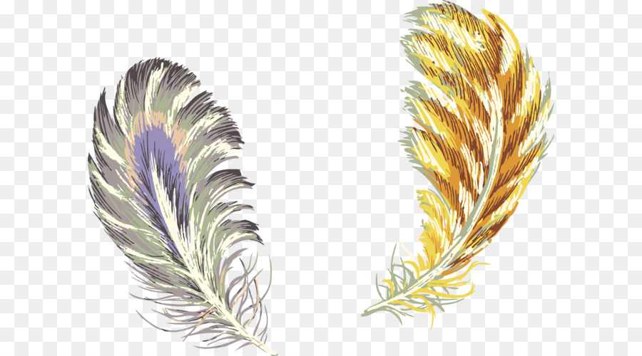 Pluma，Samsung Galaxy PNG