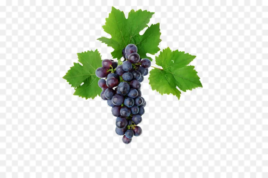 Uvas Rojas，Grupo PNG