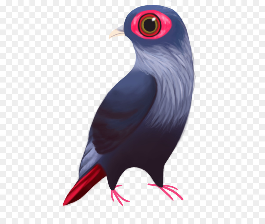 Pájaro，Azul PNG