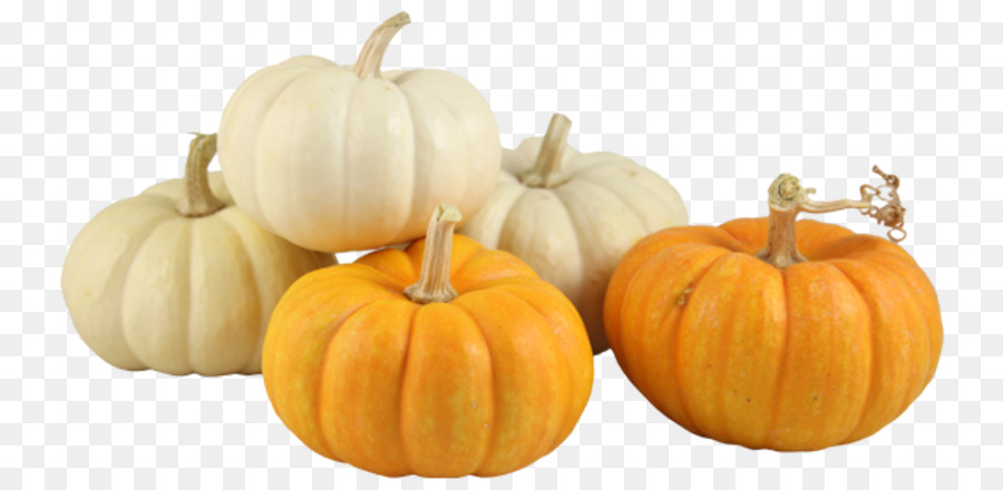 Calabaza，Calabaza De Invierno PNG