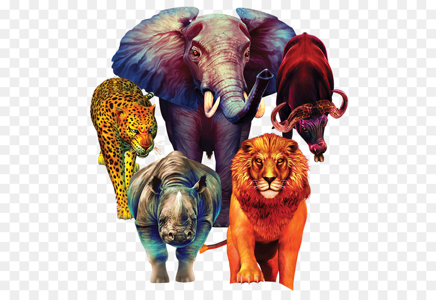 Elefante Indio，El Elefante Africano PNG