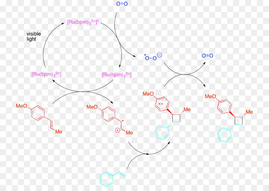 Photoredox Catálisis，Cicloadición PNG