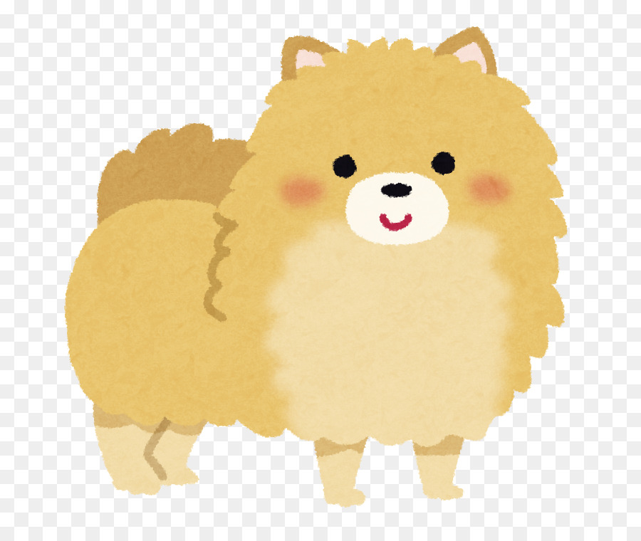 Pomerania，Caniche PNG