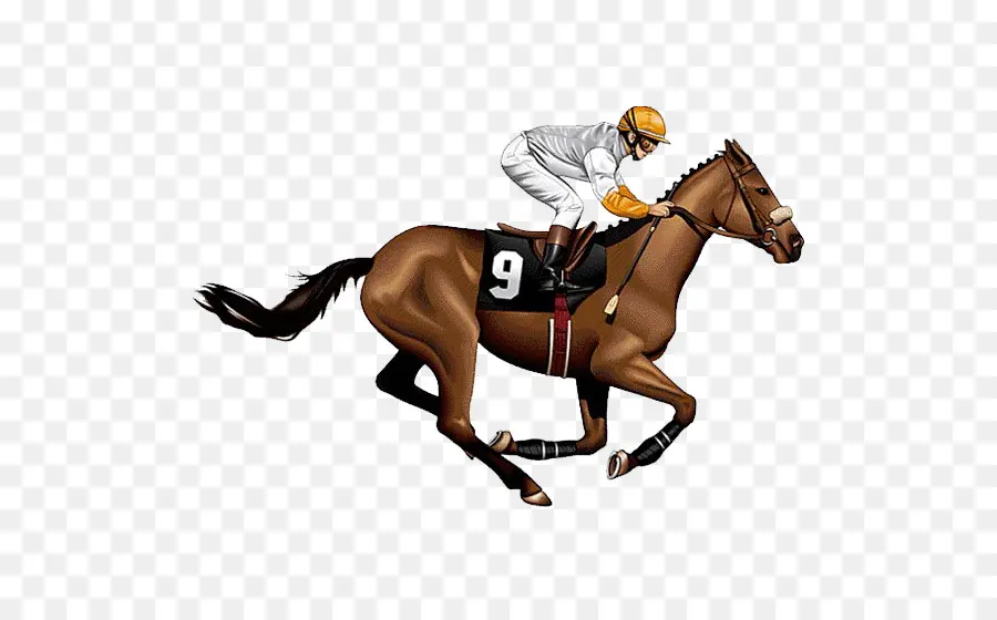 Derby De Kentucky，Caballo PNG