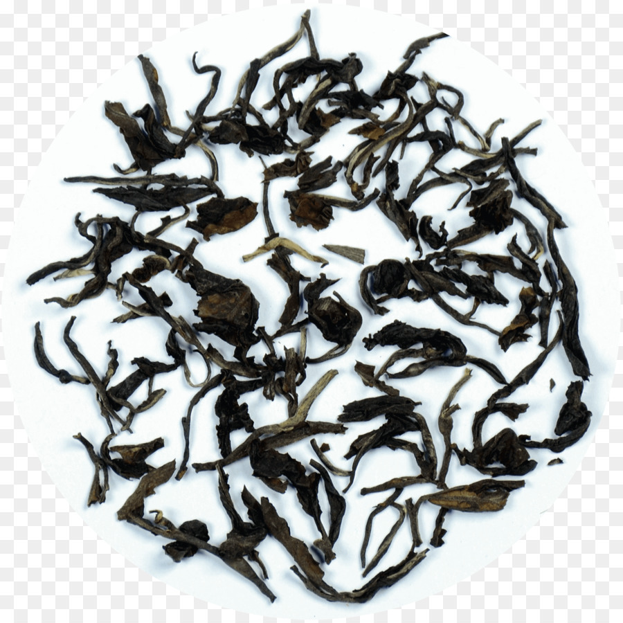 Nilgiri Té，Dian Hong PNG