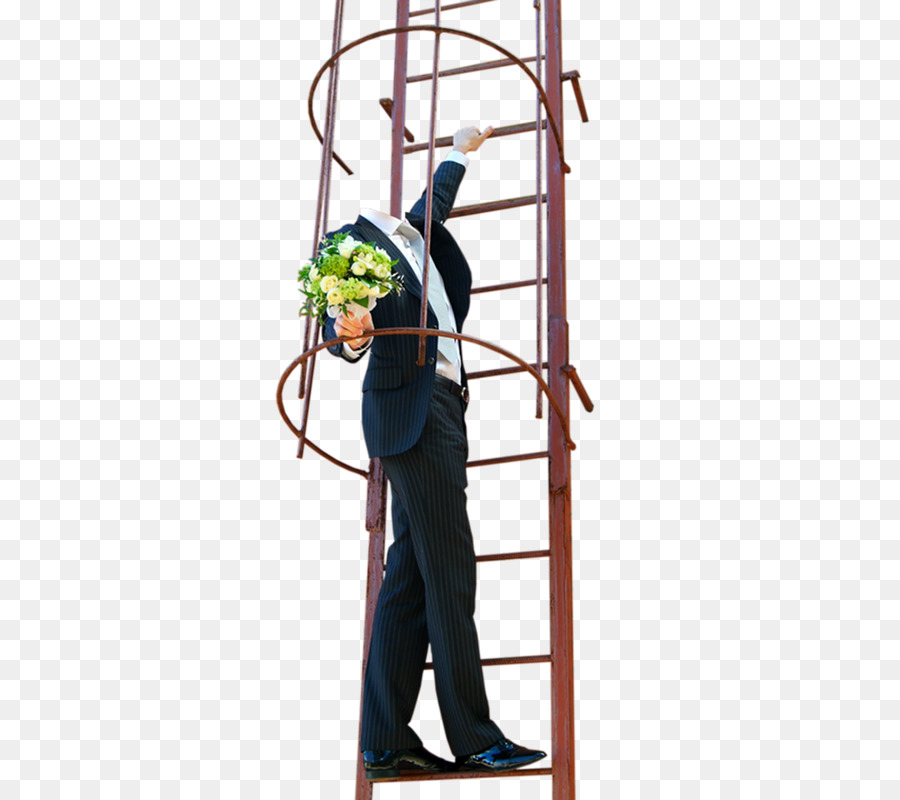 Escalera，árbol PNG