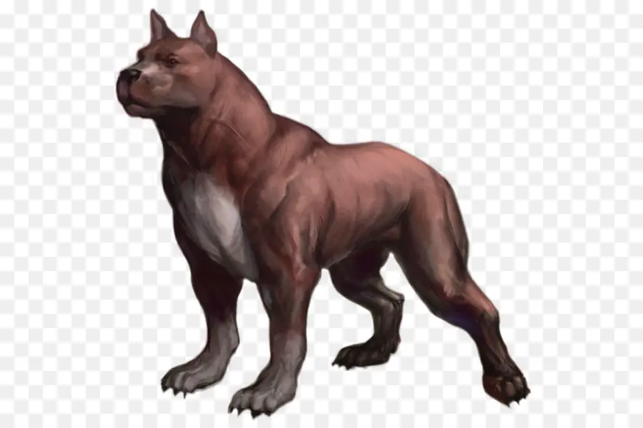 Raza De Perro，Dragon Age Origins PNG