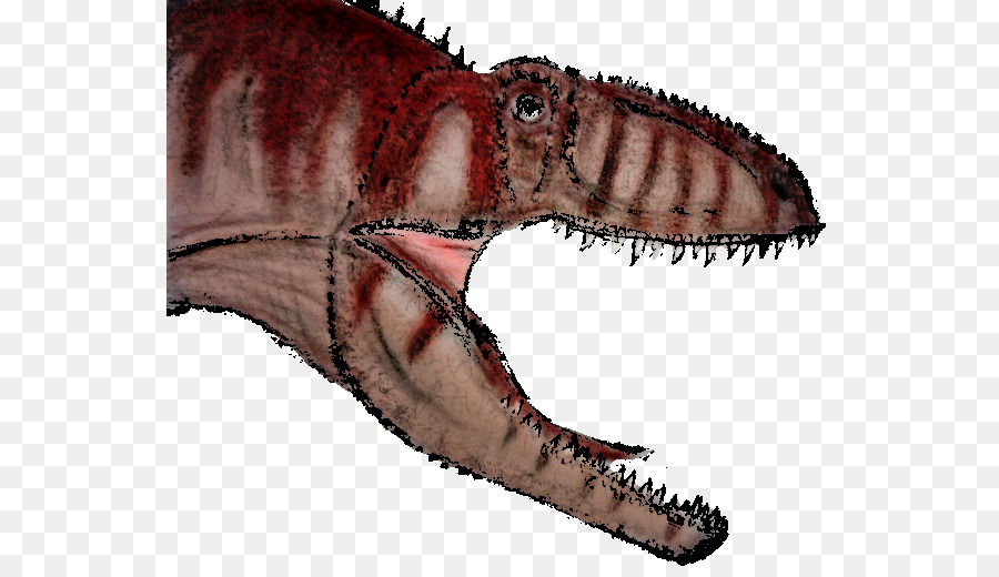 Tyrannosaurus，Gigantosauro PNG