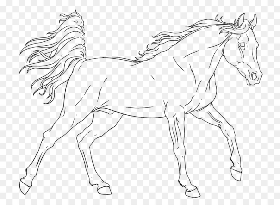 Caballo，Melena PNG